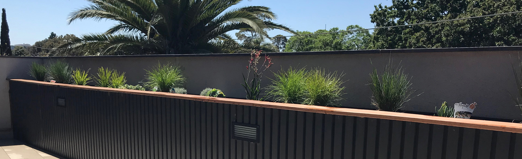 Plant boxes